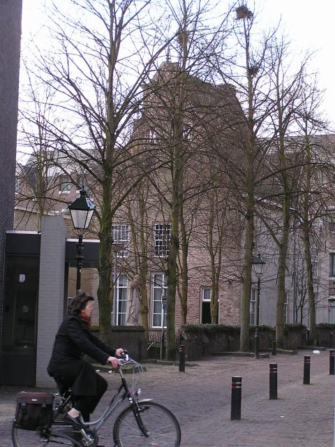P1010029.JPG