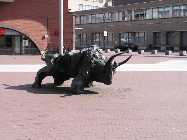 P1010030.JPG