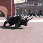 P1010030.JPG