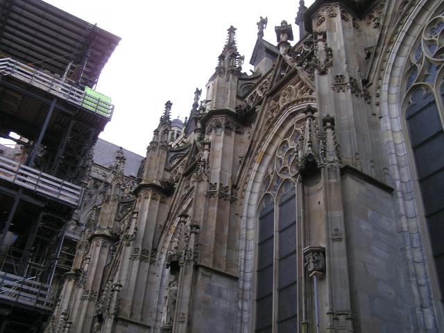 P1010045.JPG