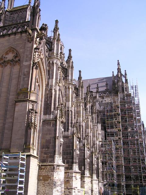 P1010055.JPG
