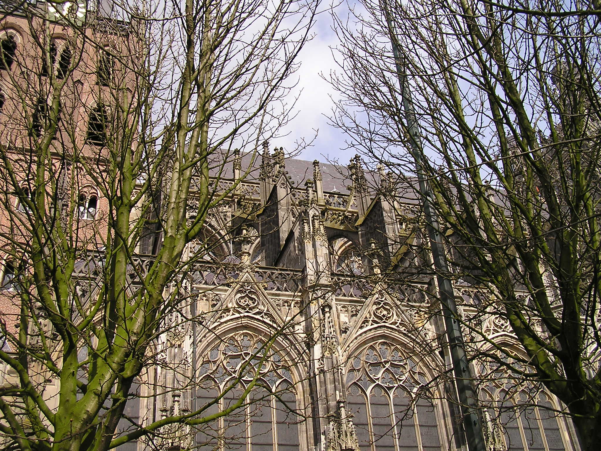 P1010058.JPG