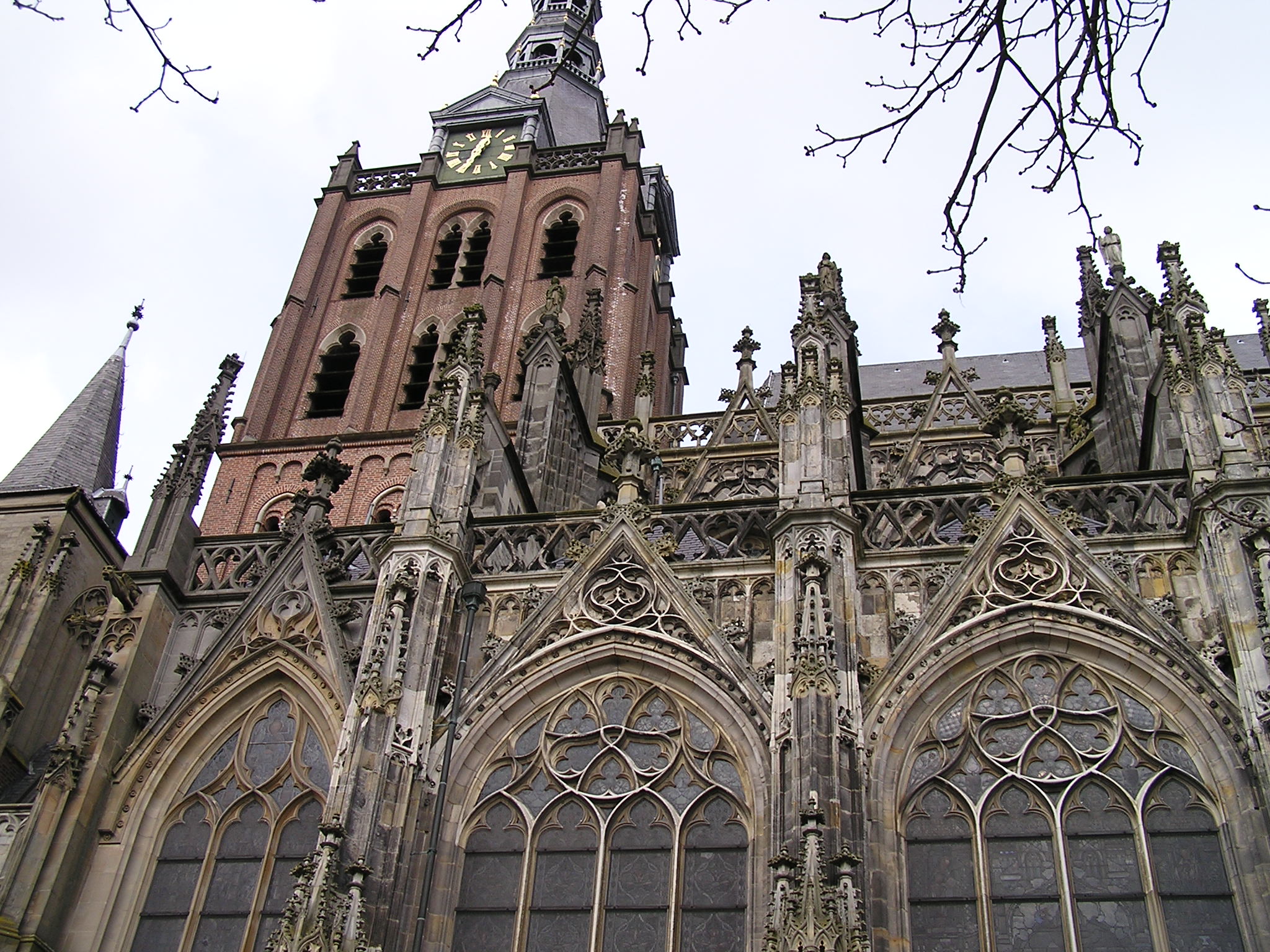 P1010062.JPG
