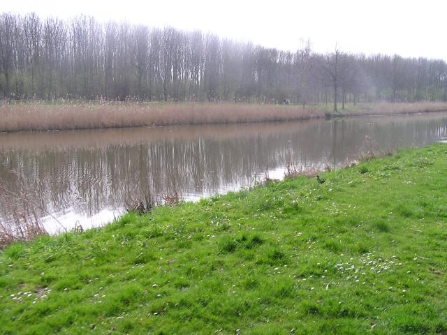 P1010013.JPG