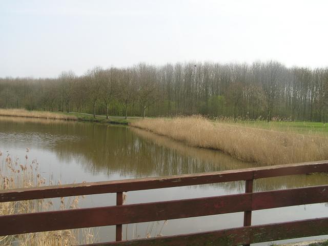 P1010016.JPG