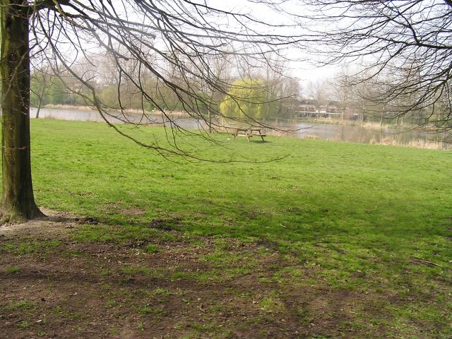 P1010020.JPG