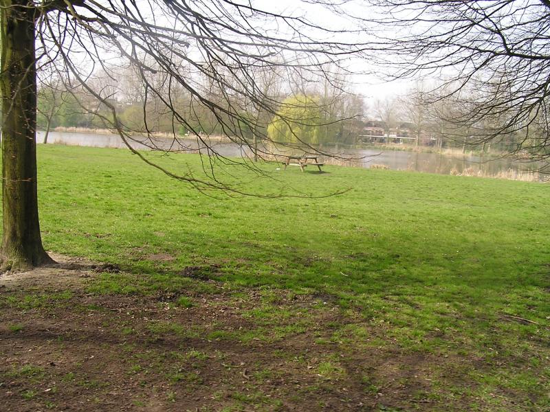 P1010020.JPG