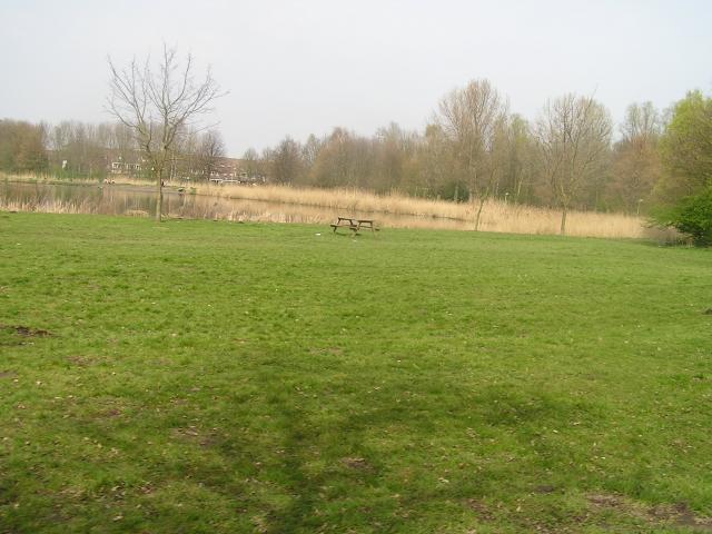 P1010021.JPG