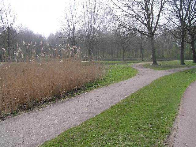 P1010022.JPG