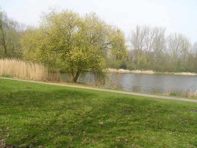P1010024.JPG
