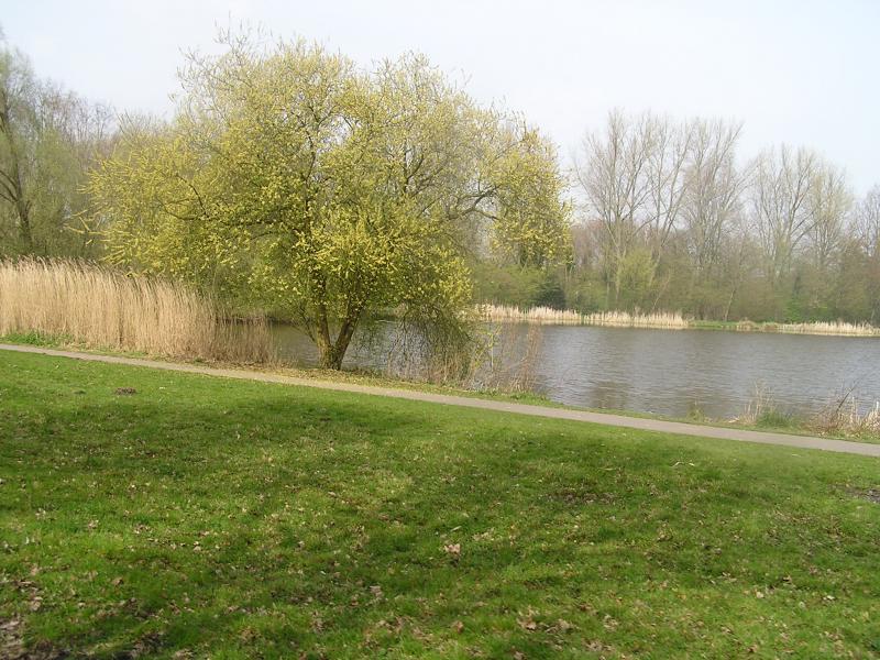 P1010024.JPG
