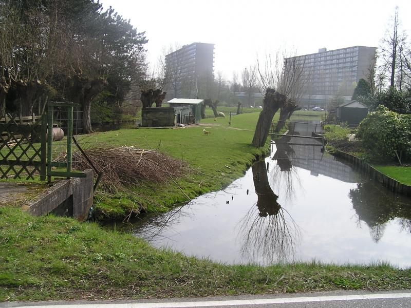 P1010035 - Capelle aan den IJssel, távolban a tömbházakkal