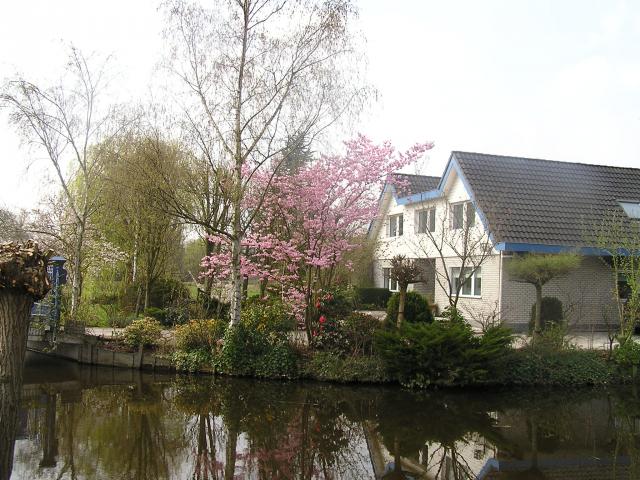 P1010036.JPG