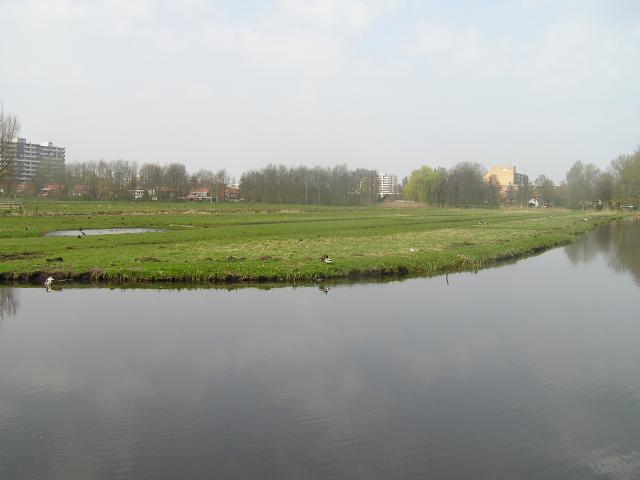P1010037.JPG