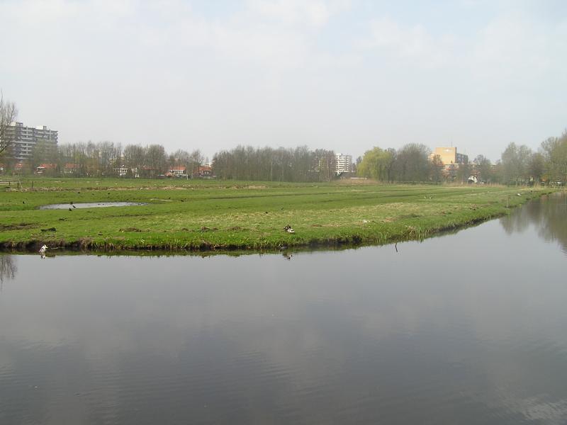 P1010037.JPG