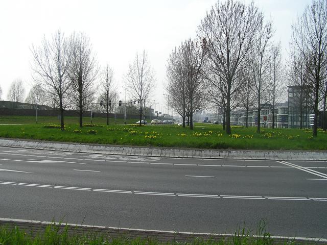 P1010039.JPG