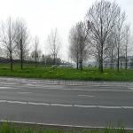 P1010039.JPG