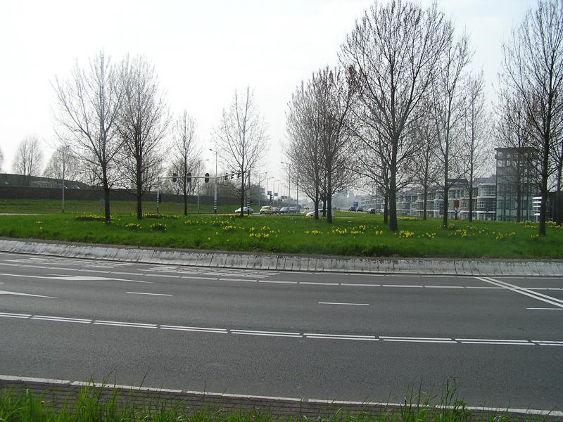 P1010039.JPG