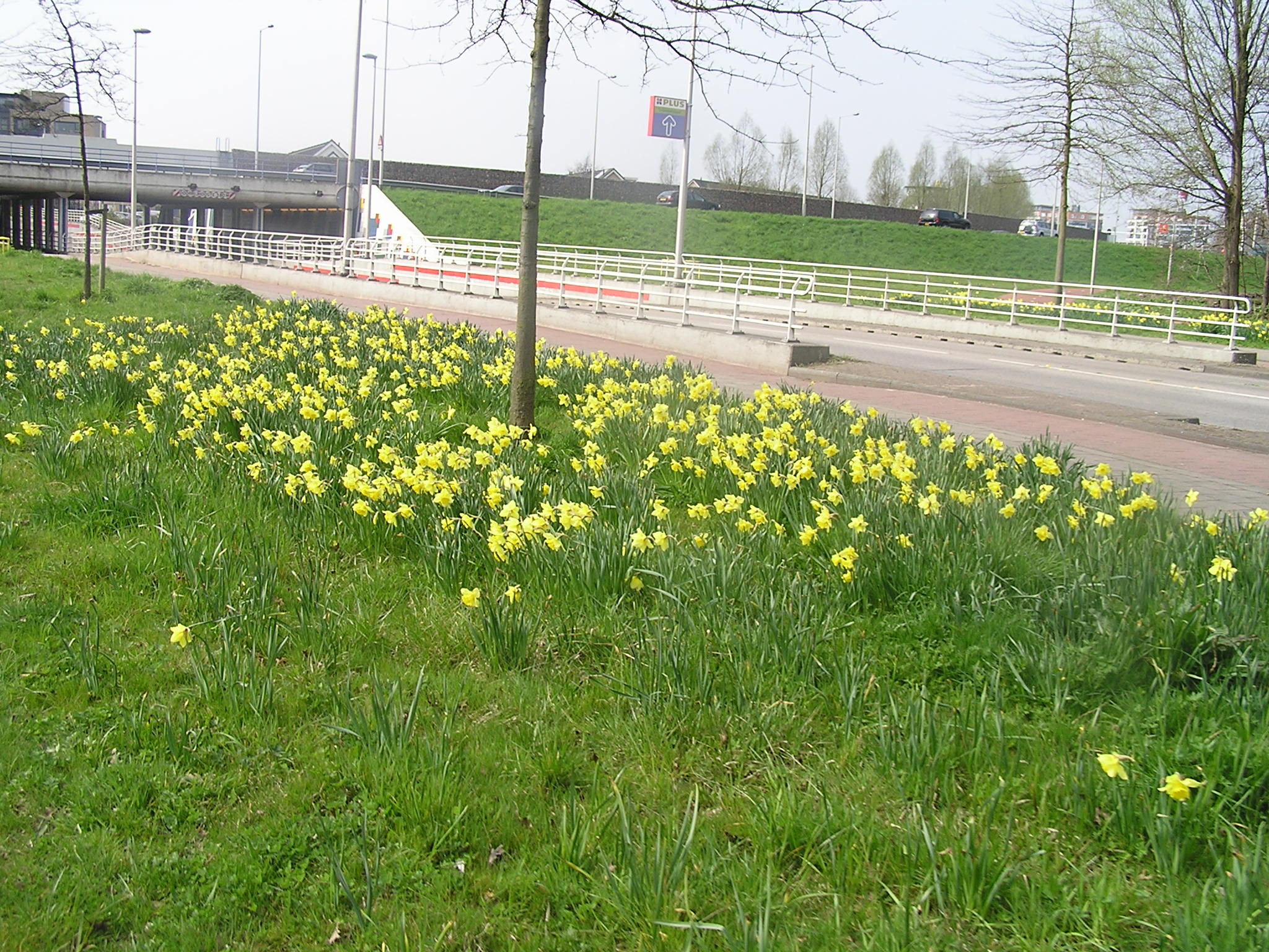 P1010040.JPG