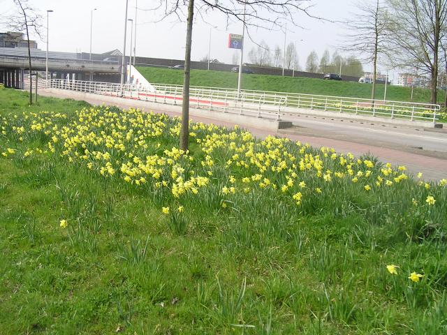 P1010040.JPG