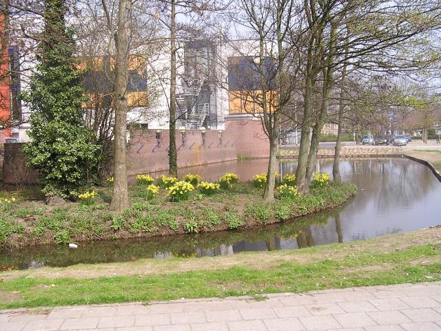P1010049.JPG