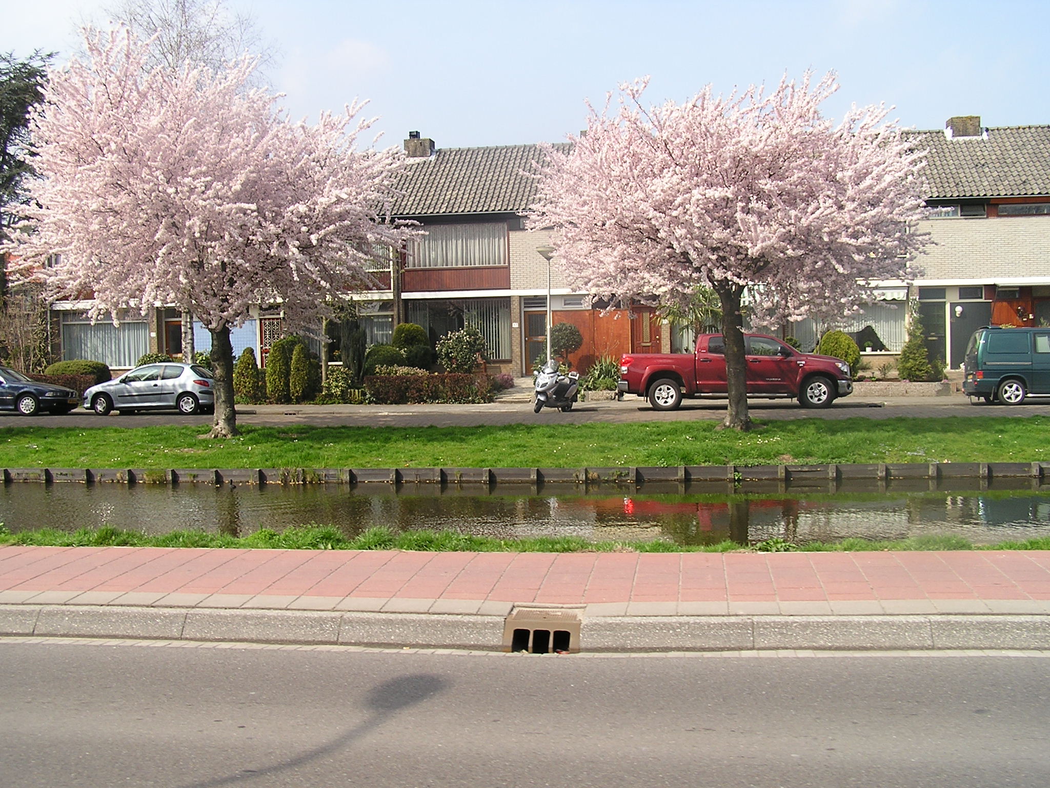 P1010059.JPG