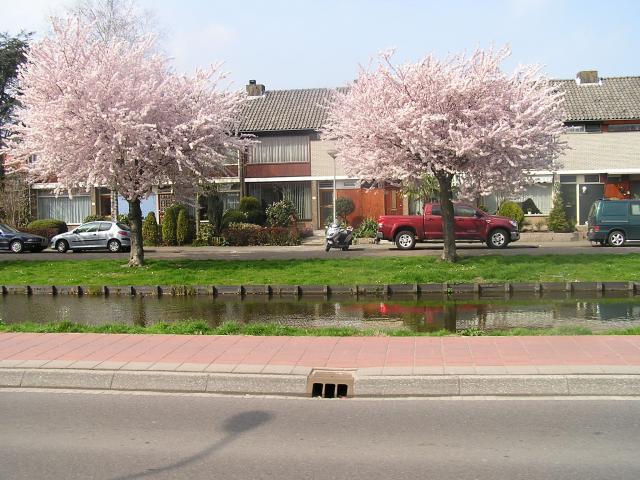 P1010059.JPG