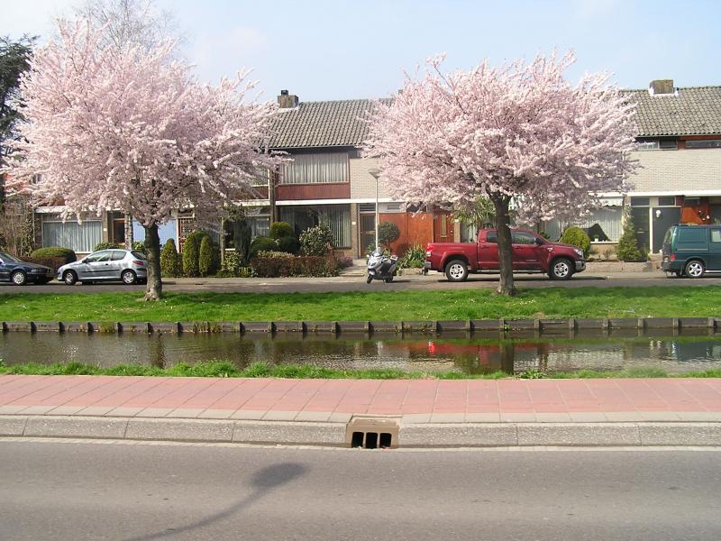 P1010059.JPG