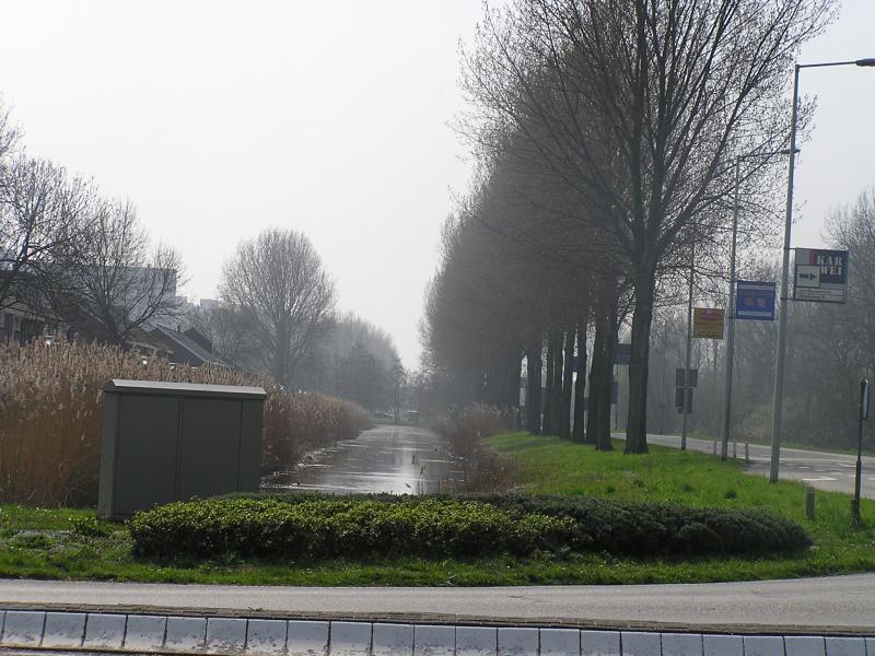 P1010064.JPG