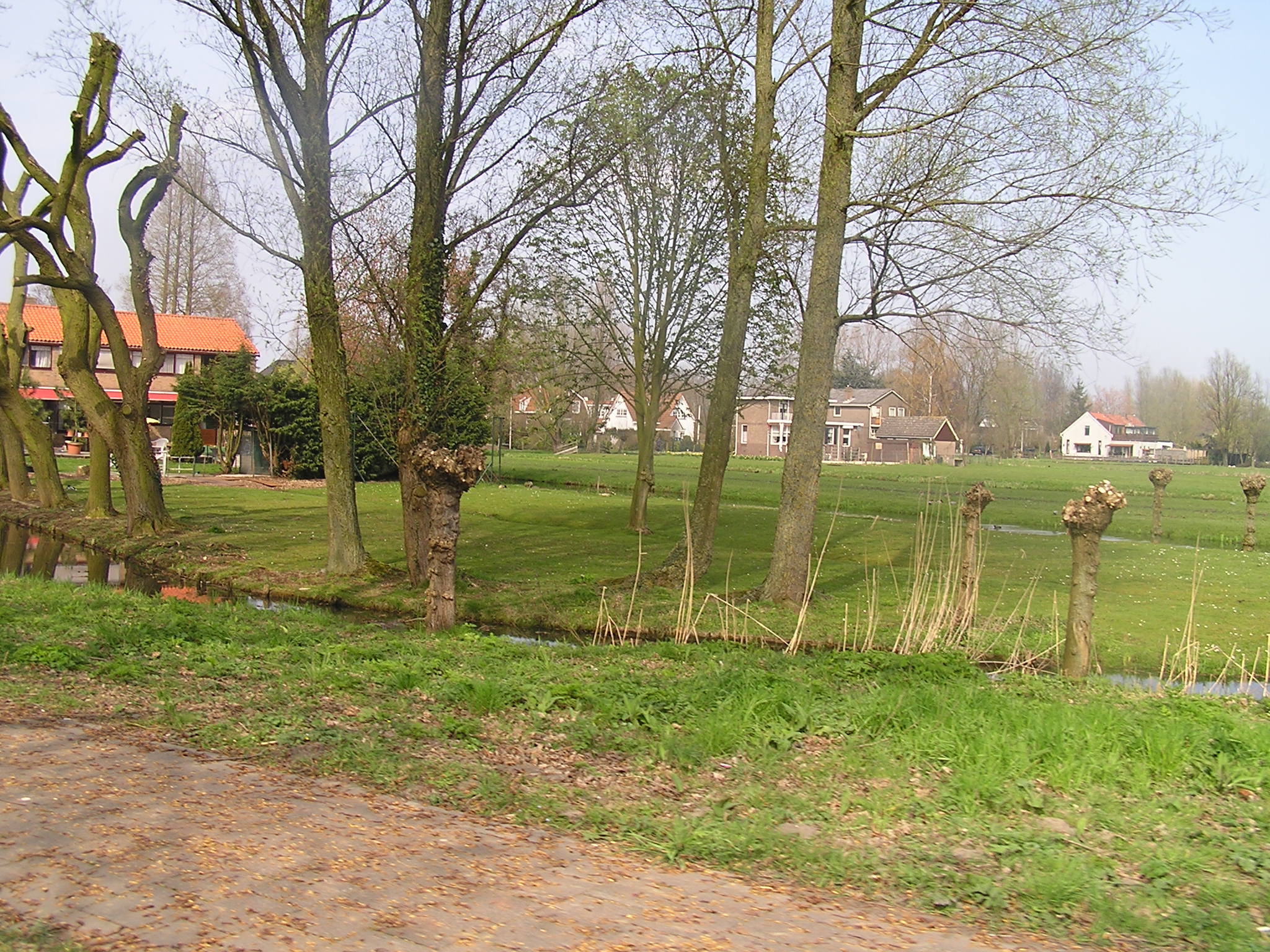P1010065.JPG