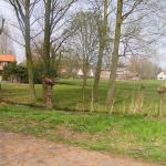P1010065.JPG