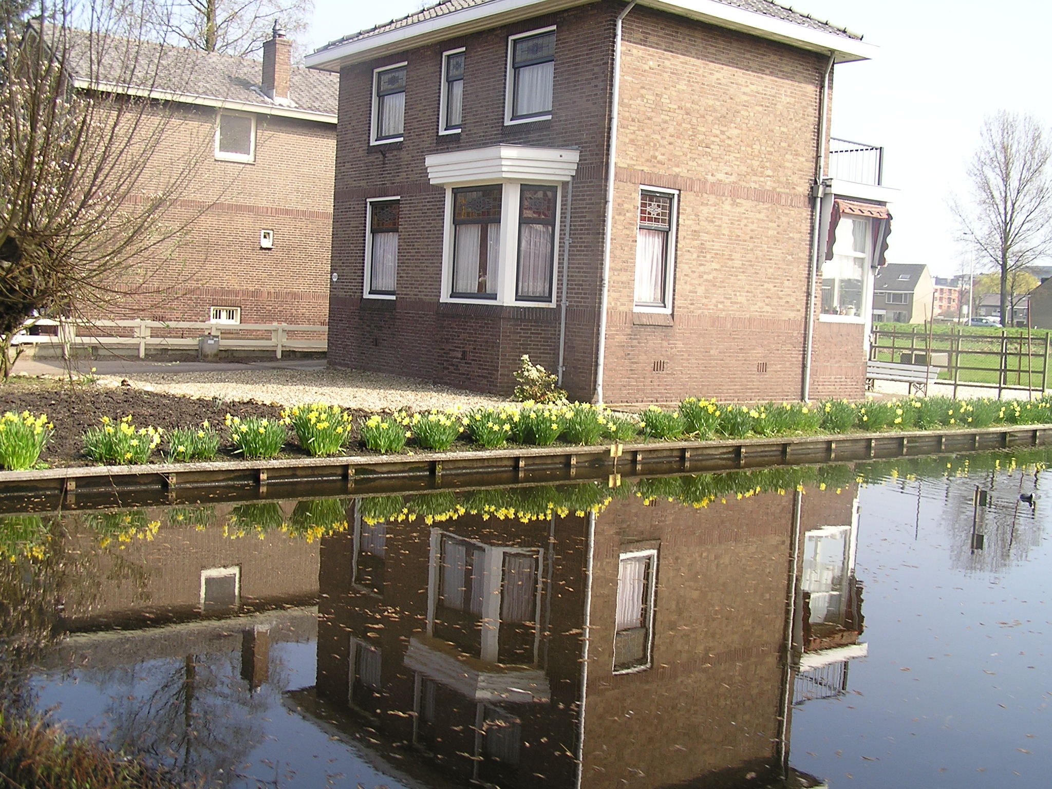 P1010067.JPG