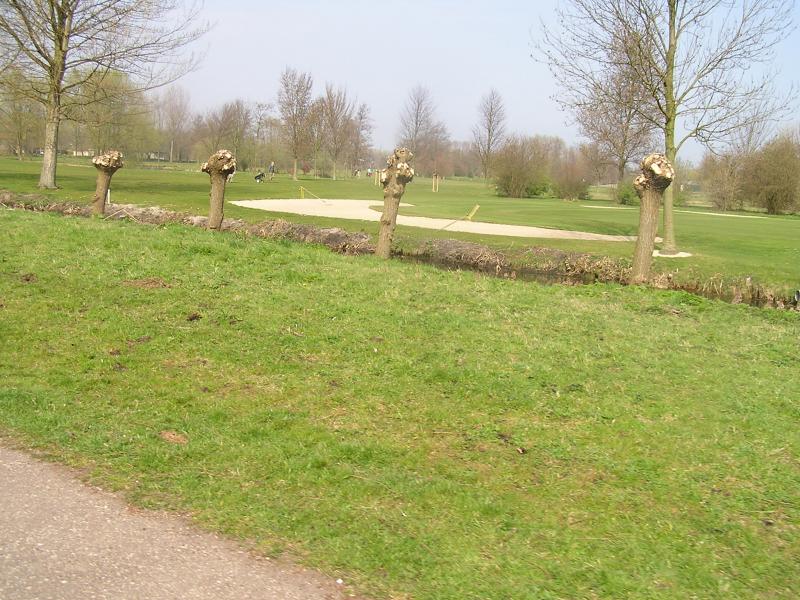 P1010073.JPG