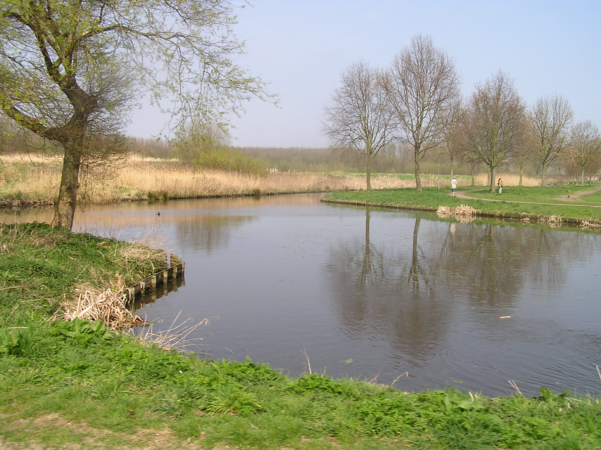 P1010077.JPG