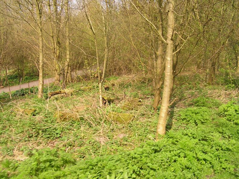 P1010083.JPG