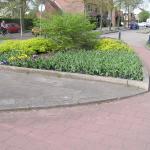 P1010007.JPG