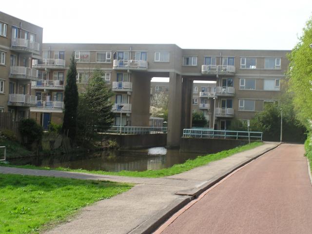P1010008.JPG