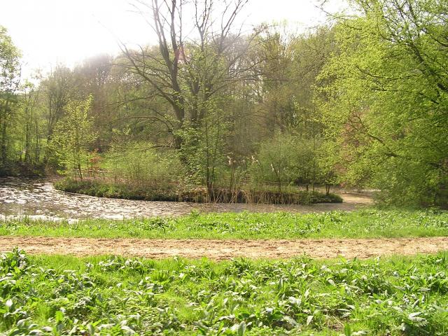 P1010011.JPG