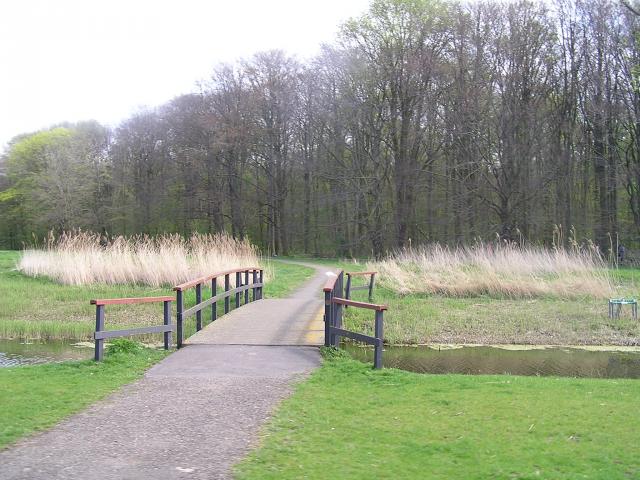 P1010024.JPG