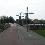 P1010027.JPG