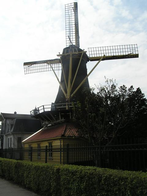 P1010028.JPG