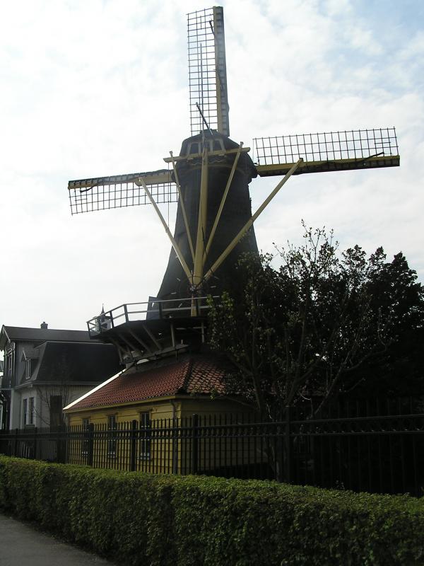 P1010028.JPG