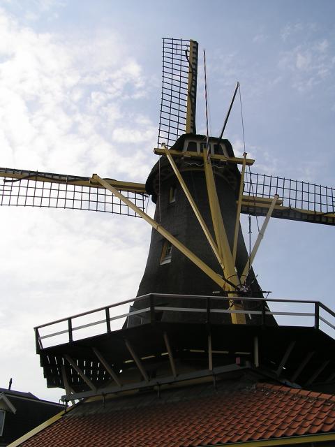 P1010029.JPG