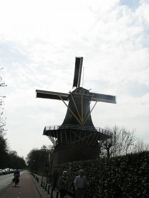 P1010030.JPG