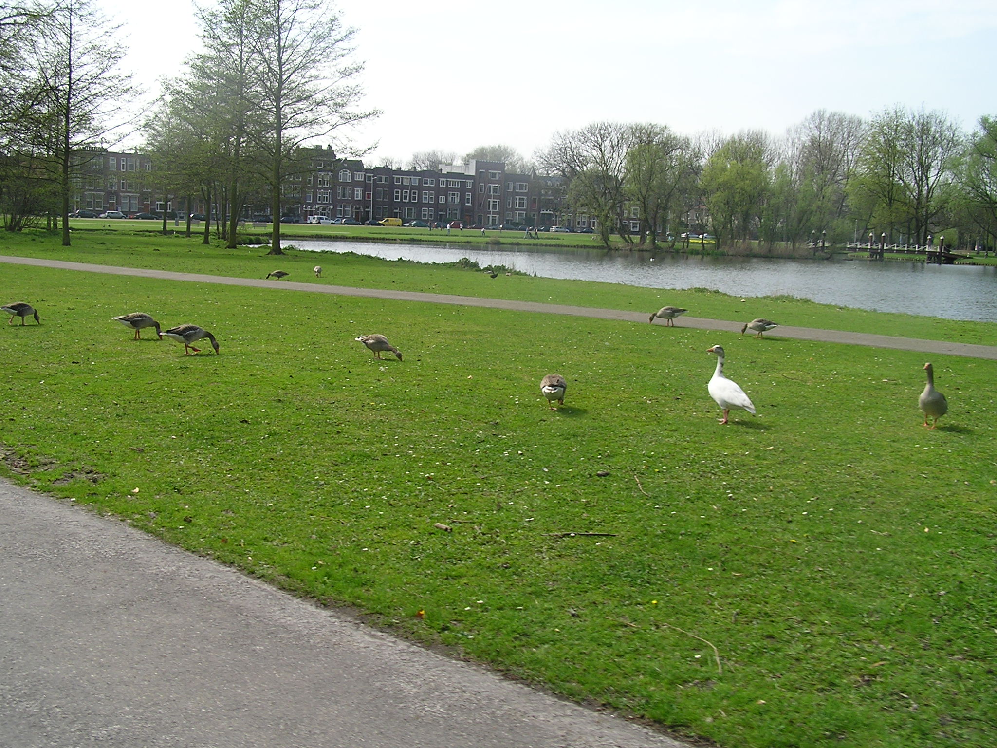 P1010036.JPG