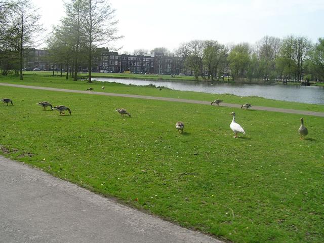 P1010036.JPG