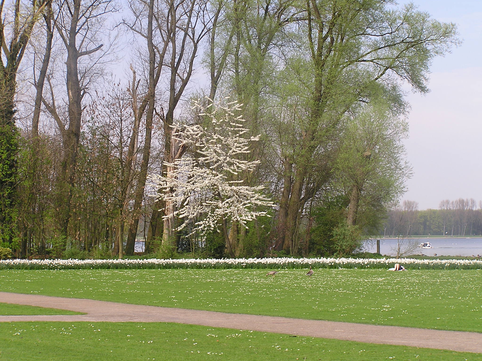 P1010046.JPG