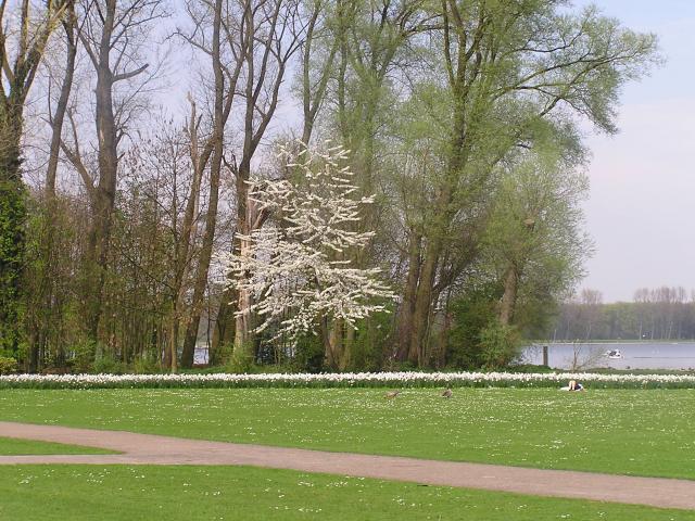 P1010046.JPG