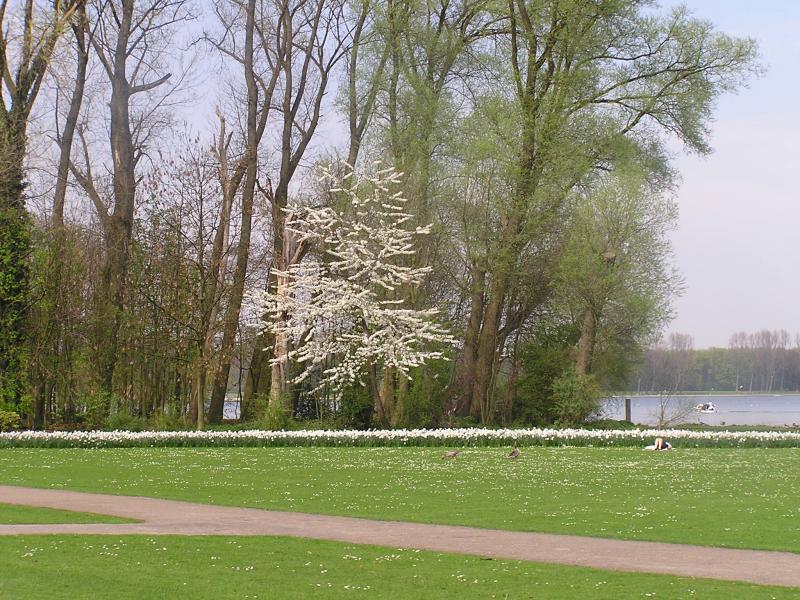 P1010046.JPG