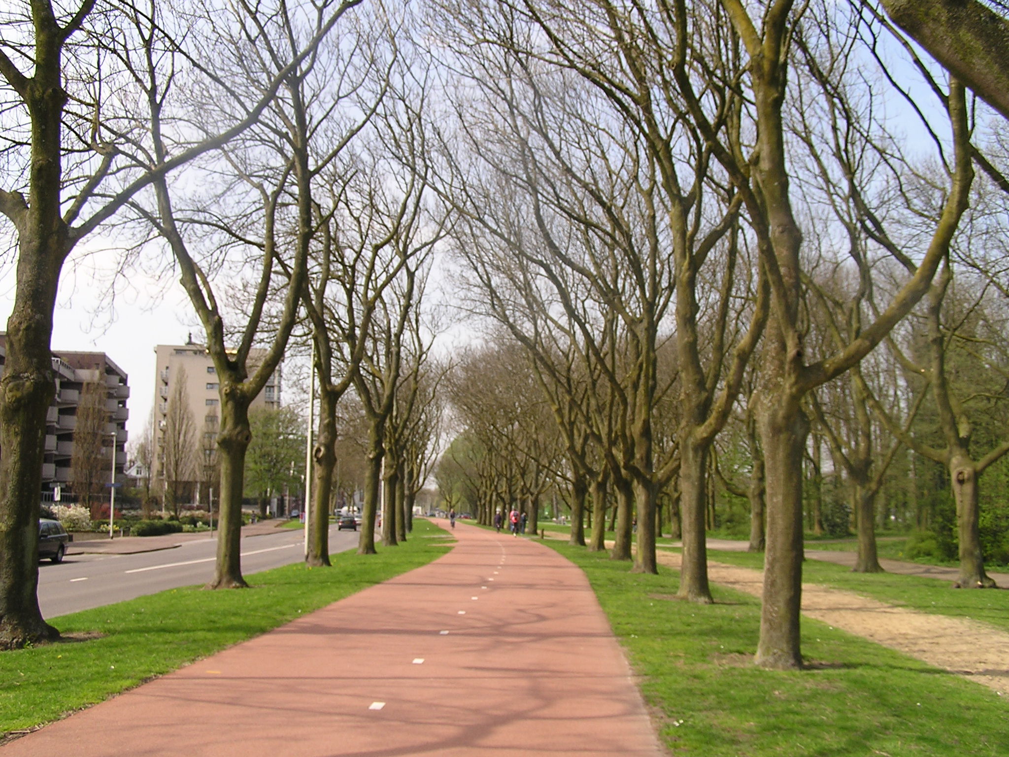 P1010048.JPG